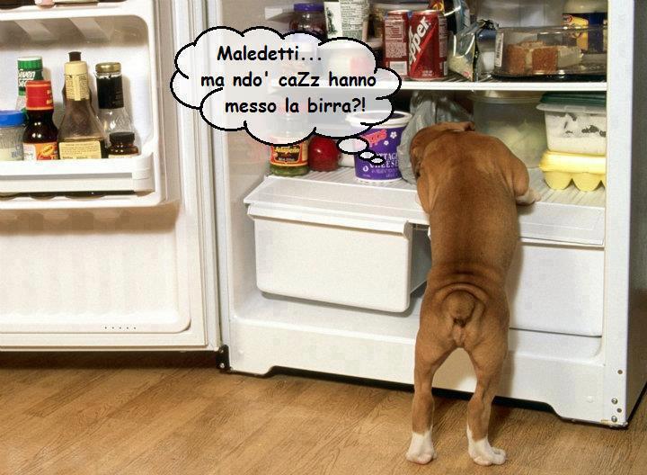 Immagine Divertente - 30/07/2012