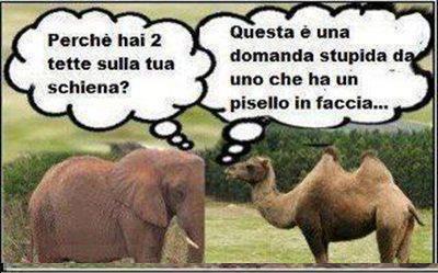Immagine Divertente - 30/07/2012