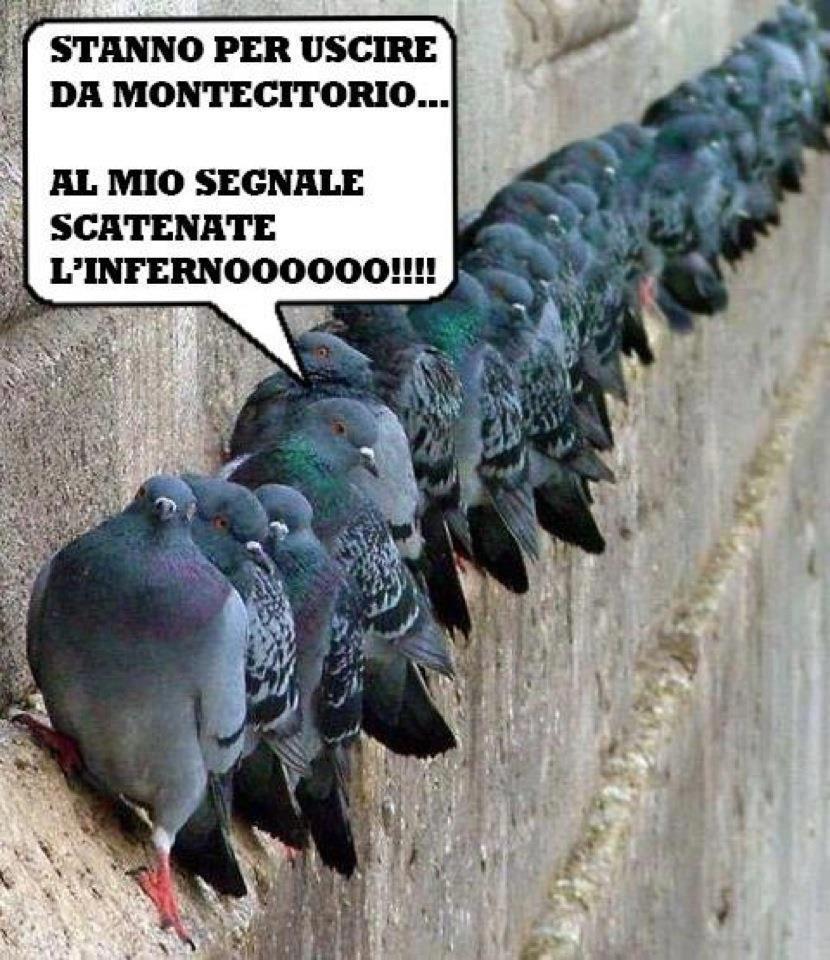 TENETEVE PRONTI !! - 15/06/2012