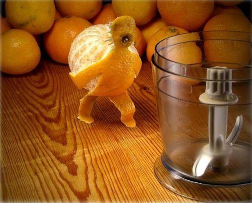 Immagine Divertente - 08/04/2012