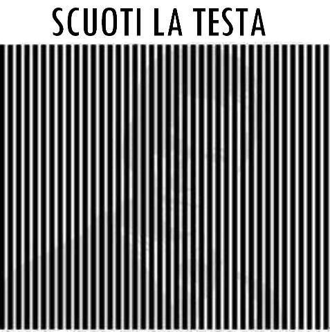 Immagine Divertente - 25/07/2012
