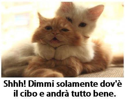 NUN TE SUCCEDE GNENTE !! - 10/09/2012
