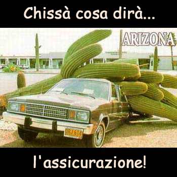 Immagine Divertente - 13/04/2012