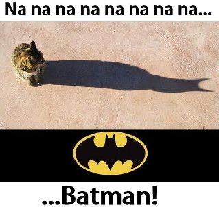 ER VERO BATMAN !! - 21/04/2012