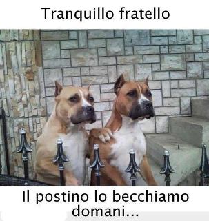 Immagine Divertente - 29/04/2012