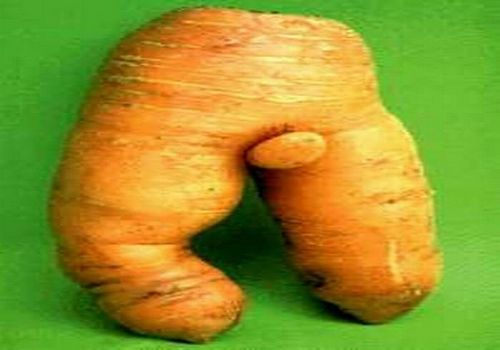 Scherzo della natura - 19/03/2012