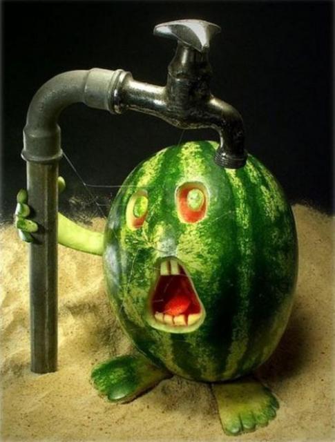 Immagine Divertente - 08/04/2012
