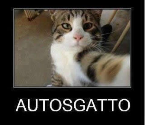 METTEMOSE BENE !! - 03/05/2012