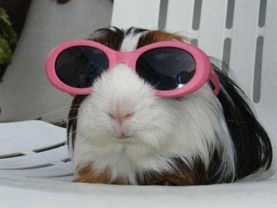 QUANTO SO' FASHION !! - 27/09/2012