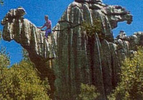 Scherzo della natura - 19/03/2012