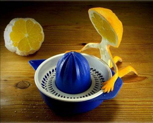 Immagine Divertente - 08/04/2012