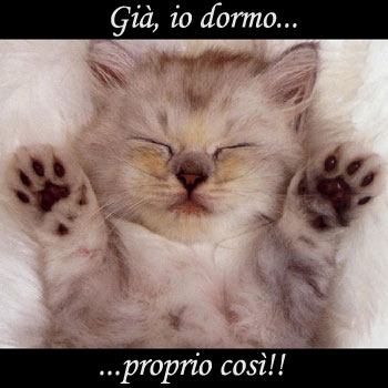 Immagine Divertente - 15/04/2012