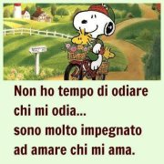 FACCIO 'A MEJO COSA... - 25/07/2012
