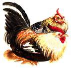 QUANNO CE SO' TROPPI GALLI A CANTÀ... NUN SE FA' MAI GIORNO !! - 19/03/2012