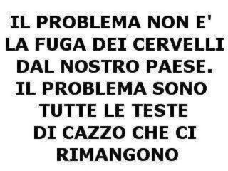 Immagine Divertente - 01/05/2012