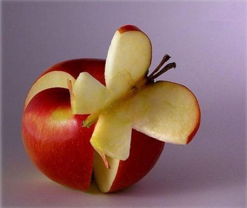 Immagine Divertente - 08/04/2012