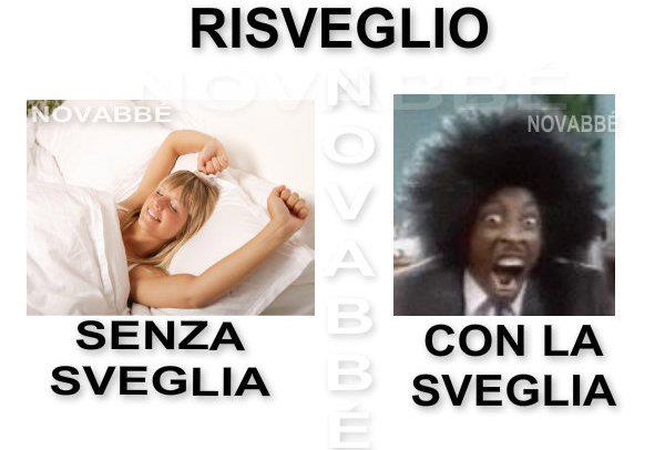 ER RISVEJO !! - 11/03/2012