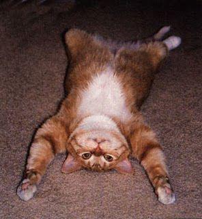 NUN ME RIESCO A RIPIA' !! - 20/03/2012