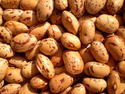 GLI AMICI FALSI SO' COME I FAGIOLI... PARLANO DE DIETRO !! - 20/03/2012