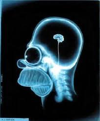 AL NEGOZIO DE CERVELLI: VORREI COMPRA' UN NUOVO CERVELLO, QUALI MODELLI SO' DISPONIBILI ?? - 20/03/2012