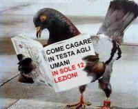 ER GIORNO CHE DECIDI DE LAVA' LA MACCHINA, POI STA' TRANQUILLO CHE ALL'USCITA... - 21/03/2012