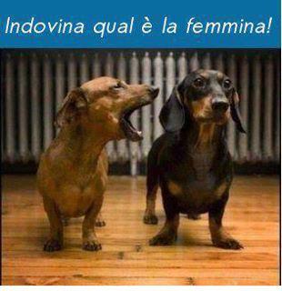 VEDEMO SE INDOVINI !! - 24/03/2012