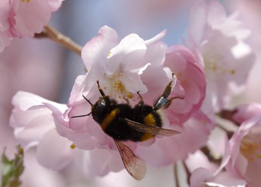 E' il marzo più caldo degli ultimi 7 anni, ancora temperature 'estive' - 28/03/2012
