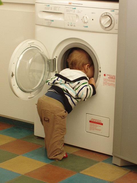 Immagine Divertente - 06/05/2012
