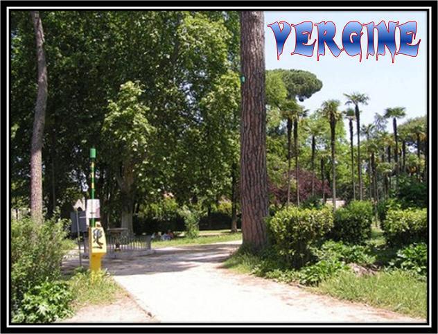 Vergine !! - 03/03/2012