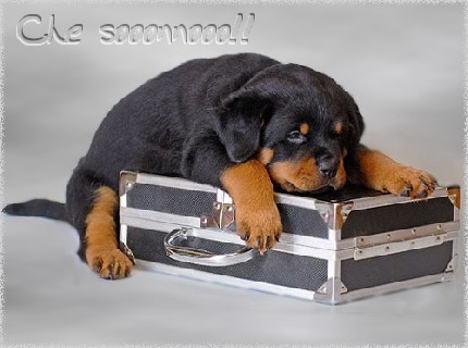 AMMAZZA CHE SONNO !! - 19/05/2012