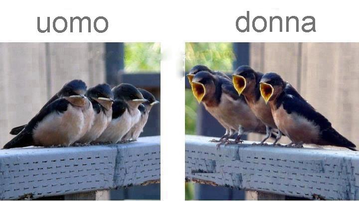 SO' PUNTI DE VISTA... - 20/05/2012