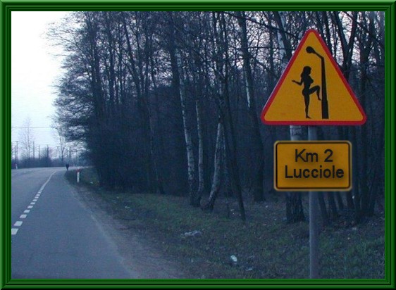INCREDIBILE... MA VERO !! - 03/03/2012