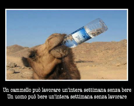 CE SO' SIMILITUDINI !! - 15/09/2012