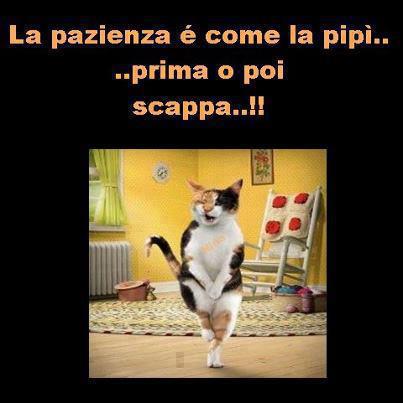 Immagine Divertente - 27/01/2013