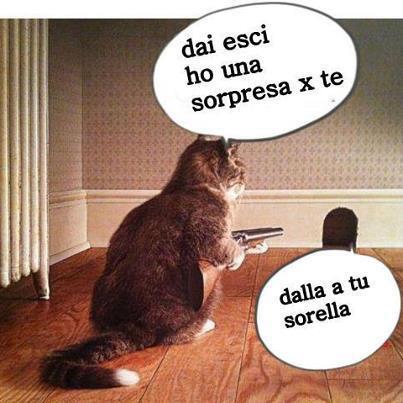 Vignetta Divertente - 08/02/2013