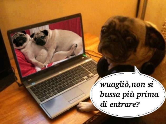 Immagine Divertente - 22/02/2013