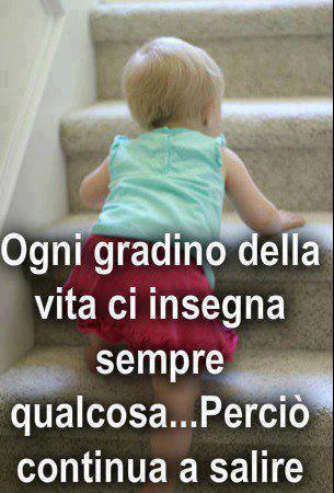 Immagine Divertente - 09/03/2013