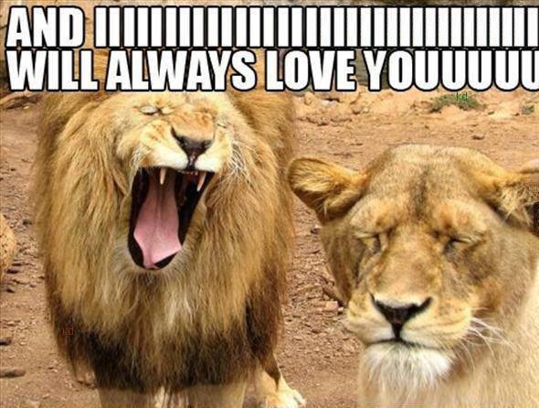 Immagine Divertente - 15/07/2013