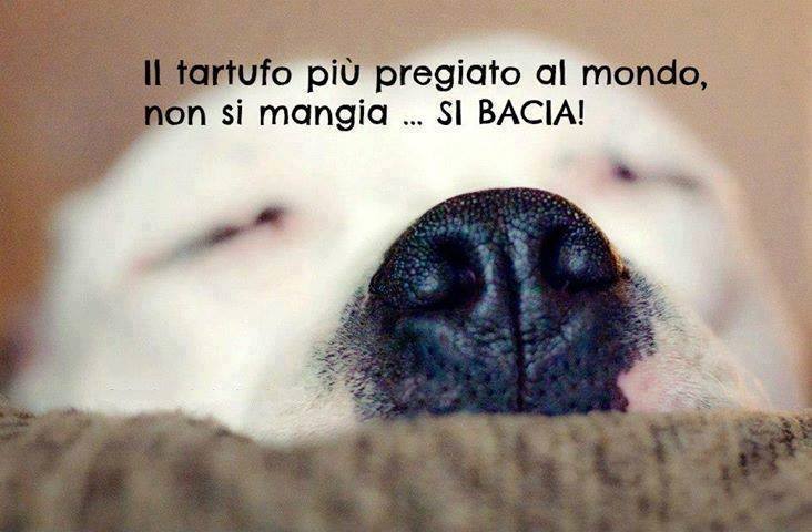 Immagine Divertente - 14/09/2013