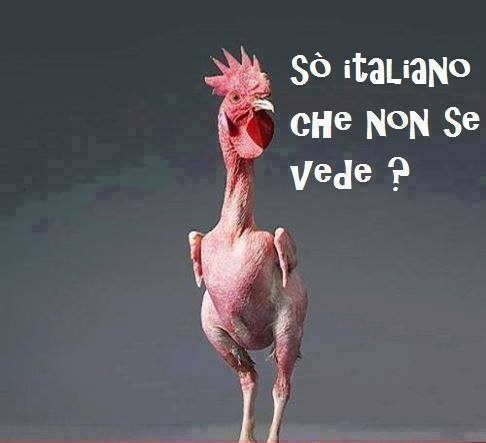 Immagine Divertente - 15/10/2013