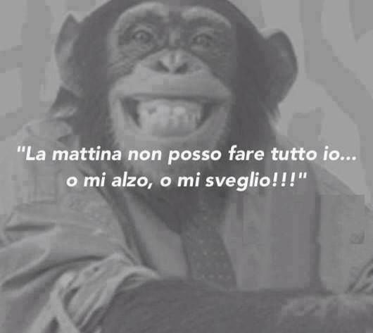 ME PARE GIUSTO !! - 30/11/2013