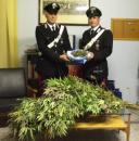 VE GIURO CHE ERA PE' FARMVILLE !! - 07/03/2012