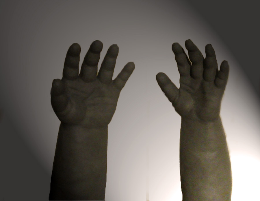 LE GEMELLINE NASCONO MANO NELLA MANO. LA FOTO EMOZIONA IL WEB - 24/06/2014