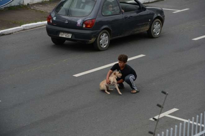 BIMBO EROE A 11 ANNI: VEDE IL CAGNOLINO FERITO IN STRADA, SI GETTA E LO SALVA - FOTO - 08/09/2014
