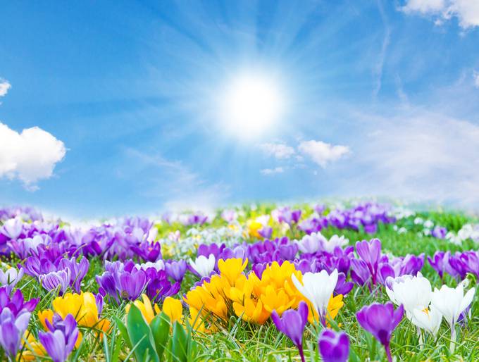 PREVISIONI METEO: ECCO QUANDO SCOPPIERA' LA PRIMAVERA - 06/03/2017