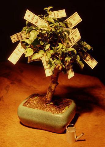 SE ER DENARO CRESCESSE SUGLI ALBERI... ME CAPITEREBBE DE SICURO 'N BONSAI !! - 08/03/2012