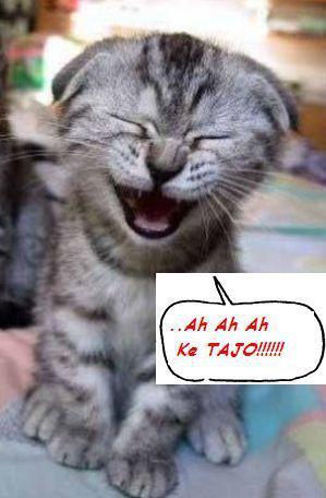 AH AH AH... CHE TAJO !! - 08/03/2012