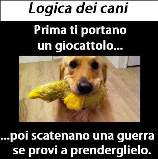 Immagine Divertente - 29/11/2012