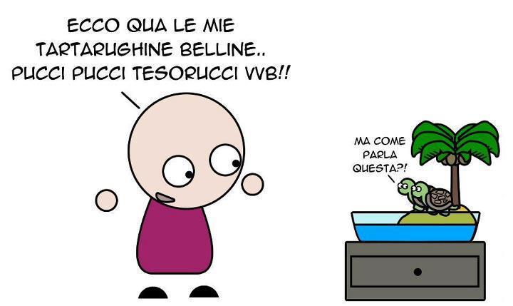 'A GENTE E' STRANA !! - 18/07/2012