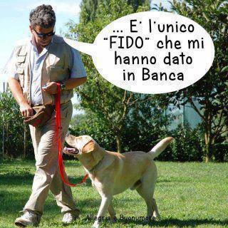 ANNAMO BENE !! - 03/10/2012